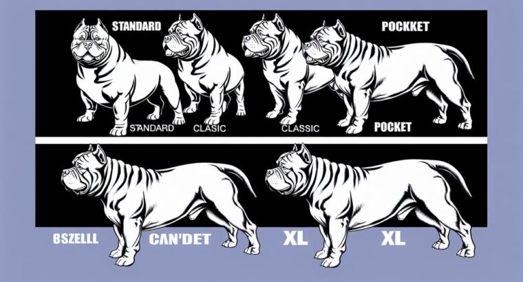 How Many American Bully Classes Exist